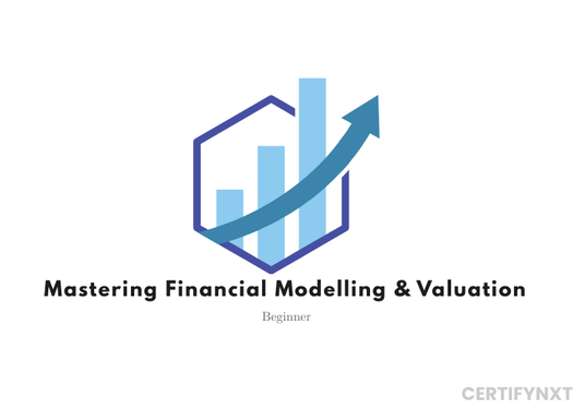 Mastering Financial Modelling & Valuation: Beginner